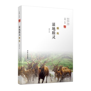 正版图书丨 湿地精灵：麋鹿  韦伟 9787214136138