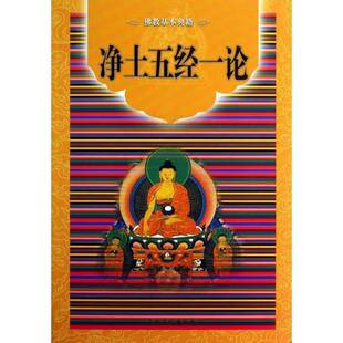 正版9成新图书丨 佛教基本典籍:净土五经一论(16开平装 全1册) 宗文点校 9787802547131