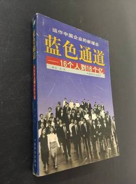 正版9成新图书丨 蓝色通道16个人到16个亿  刘勇著 9787501743292