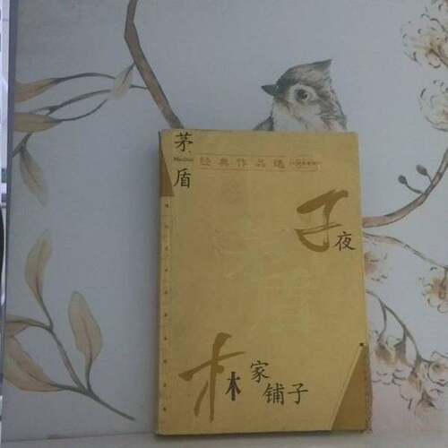 正版图书丨 茅盾经典作品选:子夜 林家铺子  茅盾著 9787801155047