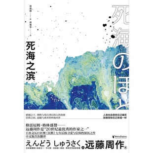 正版9成新图书丨 死海之滨  （日）远藤周作著；田建国译 9787533957728
