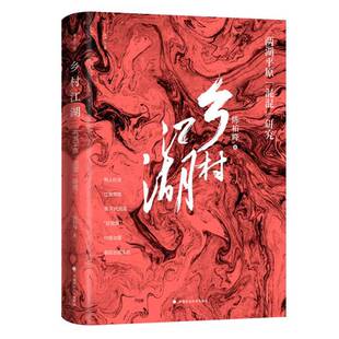 正版9成新图书丨 乡村江湖：两湖平原“混混”研究（雅理中国）  陈柏峰著 9787562085508