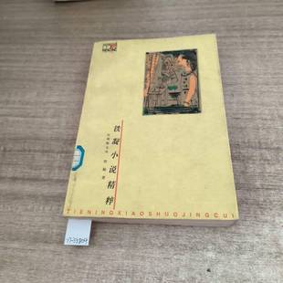正版9成新图书丨 铁凝小说精粹 铁凝著 9787220041785