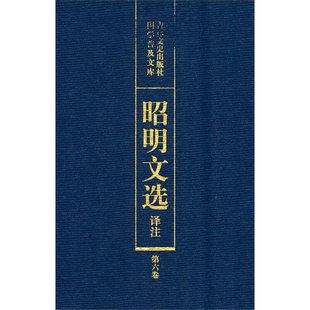 正版9成新图书丨 昭明文选译注第六卷  陈宏天 吉林文史出版社  陈宏天，赵福海，陈复兴编 9787805289014