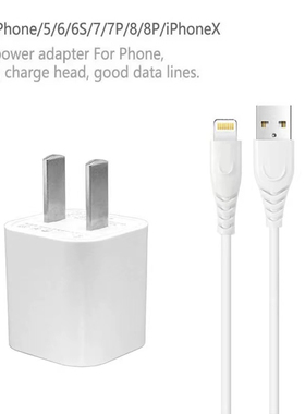 iphone5/5s/6s/6plus/8/7/ipad数据线ipadmini手机X充电器头平板air/pro插头快充闪充ipad充电器正品