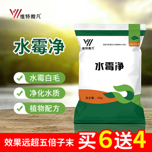 水霉净水产养殖水霉病水霉专用鱼白毛病腐皮水霉白毛拉网