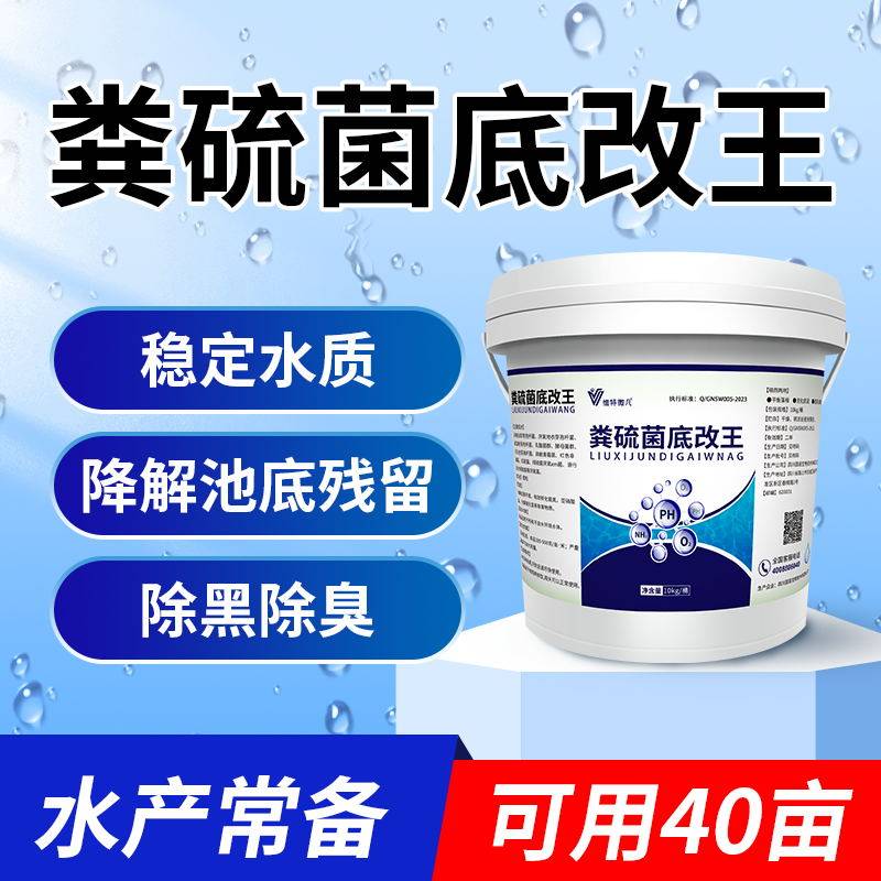 粪硫菌改底净水颗粒水产养殖硫化氢氧化菌硫细菌底改王生物底改王