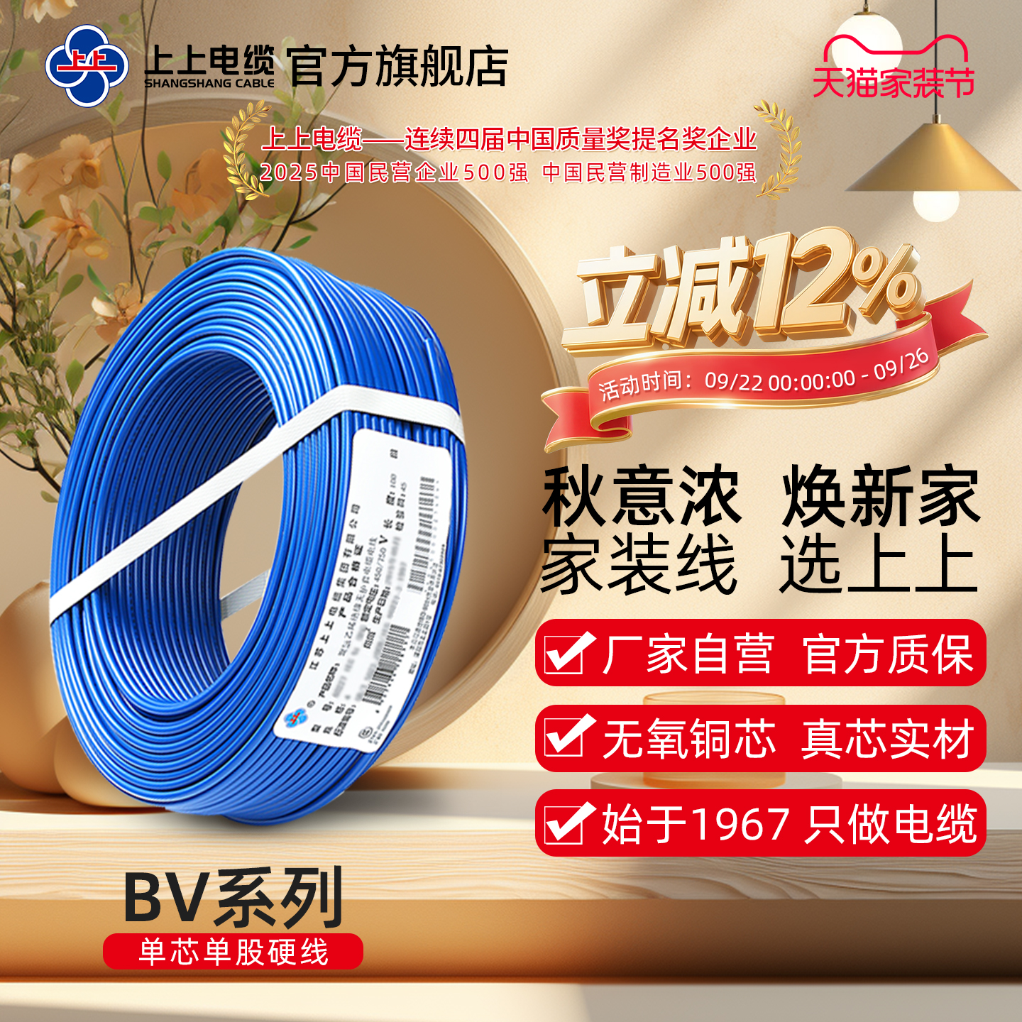 阻燃铜芯上上电线电缆