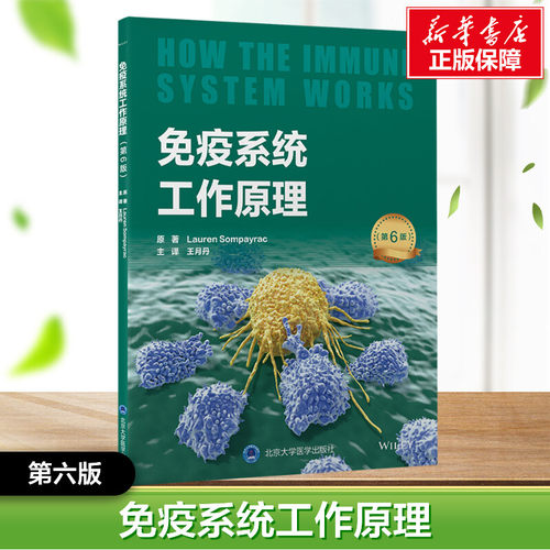 新华书店正版 内科