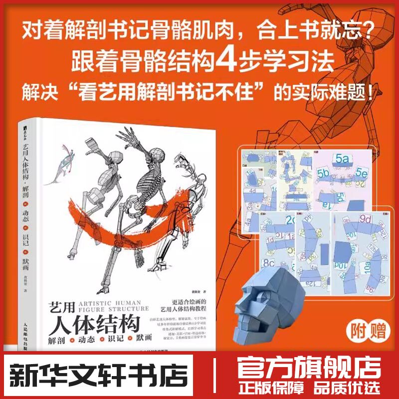 艺用人体结构解剖动态识记默画伯里曼人体美术素描画画静物初学者入门基础教程教材书结构原理造型手绘技法教学绘画书籍人民邮电