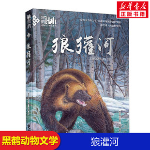 狼獾河 接力出版社格日勒其木格黑鹤动物小说儿童6-12岁小学生一二三四五六年级课外阅读经典文学故事书新华书店老师推荐课外阅读