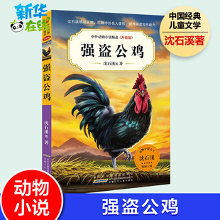 沈石溪动物小说全集作品精品集系列儿童文学书三四五六年级课外书读必10 15周岁小学生课外阅读书籍新华书店 强盗公鸡书正版