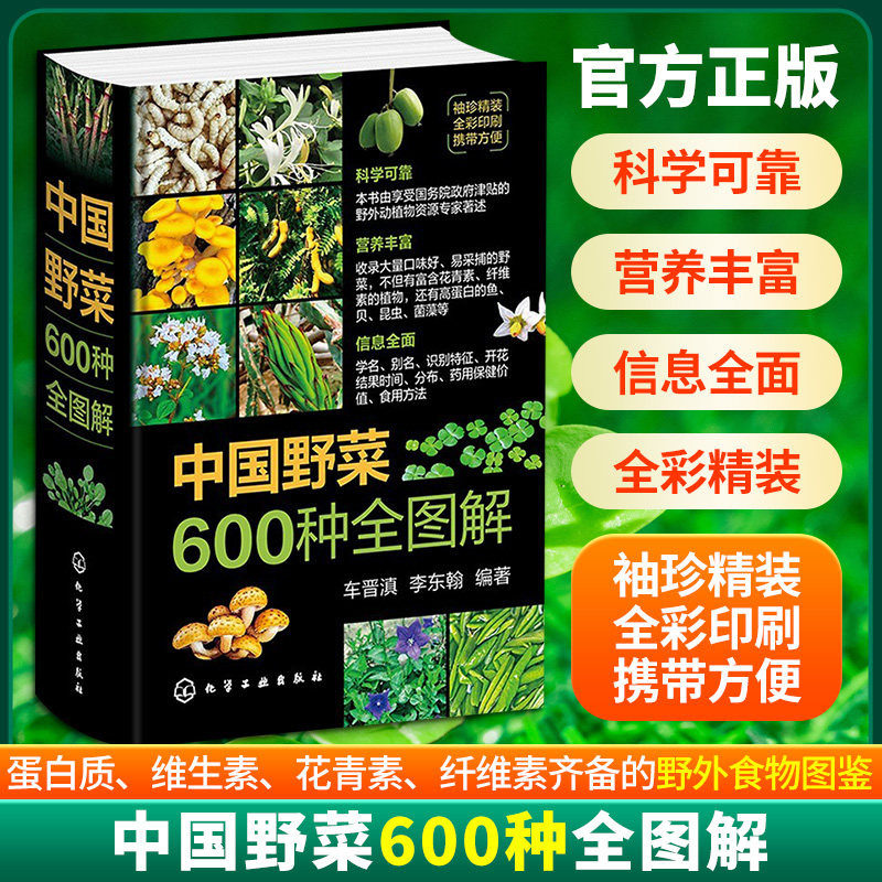 中国野菜600种全图解便携小开本野生植物分布食用方法药用保健特征识别科普读物彩色图鉴药食同源健康饮食营养食疗养生一本通正版