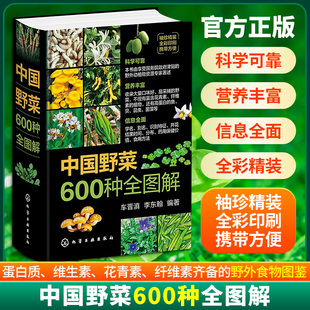 中国野菜600种全图解便携小开本野生植物分布食用方法药用保健特征识别科普读物彩色图鉴药食同源健康饮食营养食疗养生一本通正版