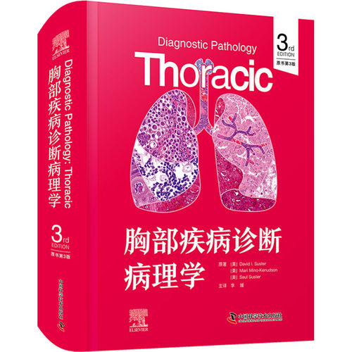 新华书店正版 内科