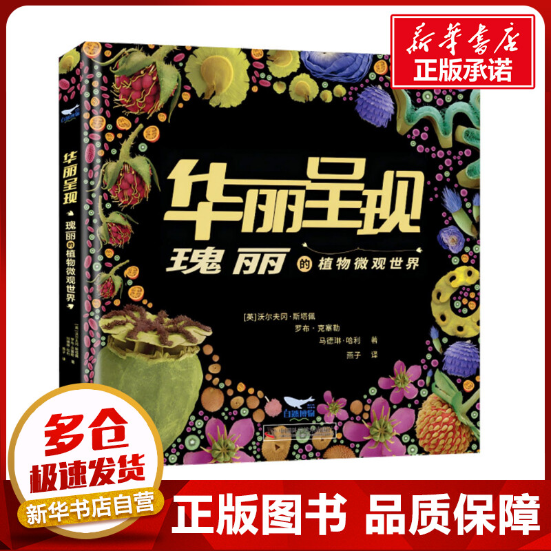 华丽呈现 瑰丽的植物微观世界 (英)沃尔夫冈·斯塔佩,(英)罗布·克塞勒,(英)马德琳·哈利 著 燕子 译 科普读物其它专业科技