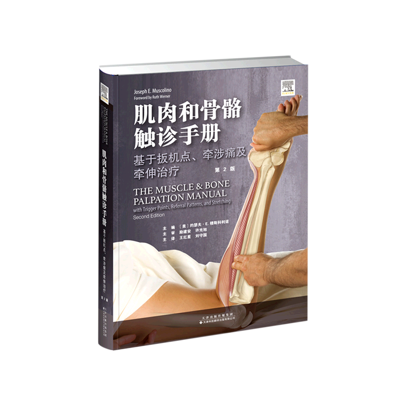 肌肉和骨骼触诊手册：基于扳机点、牵涉痛及牵伸治疗 （美）约瑟夫·E﹒穆斯科利诺 著 王红星//刘守国 译 基础医学生活
