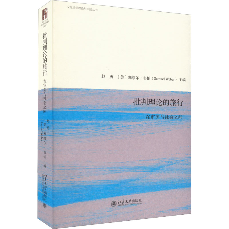 新华书店正版 中国现当代文学理论