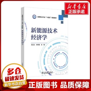 新能源技术经济学 王正之,孙荣岳 编 各部门经济专业科技 新华书店正版图书籍 中国电力出版社