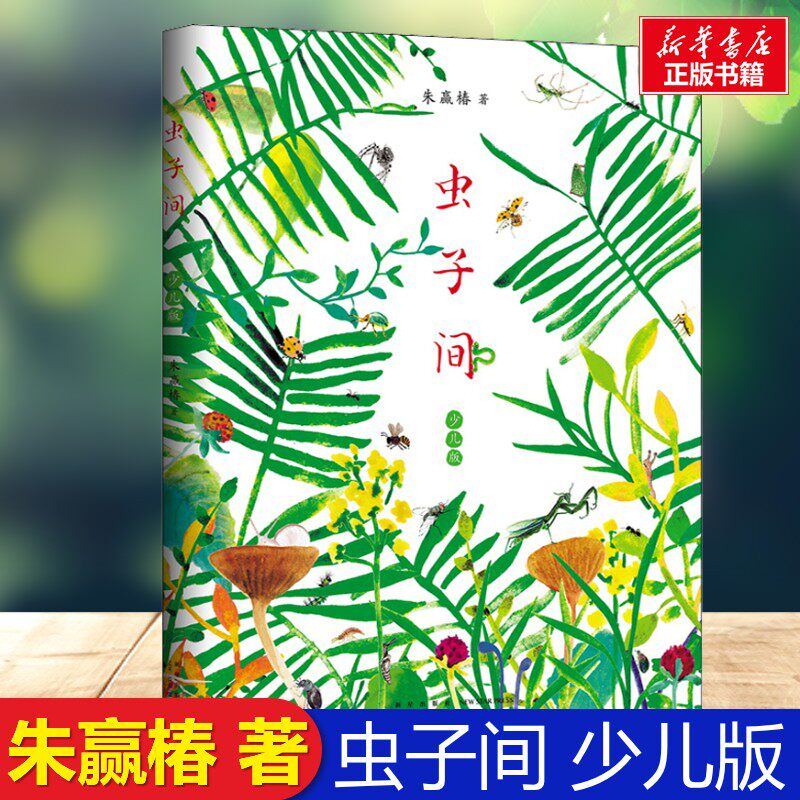 虫子间朱赢椿著新星出版社童书虫子旁小狐狸买手套爱心树经典儿童文学少儿版自然观察想象创意小学生三四五六年级课外阅读艺术审美