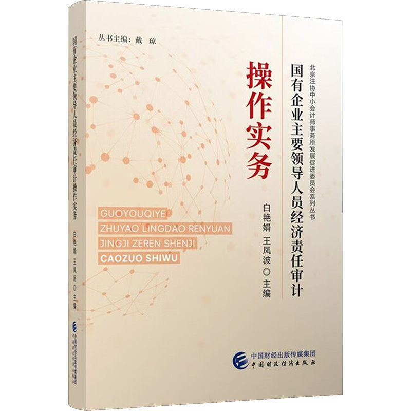 新华书店正版 审计