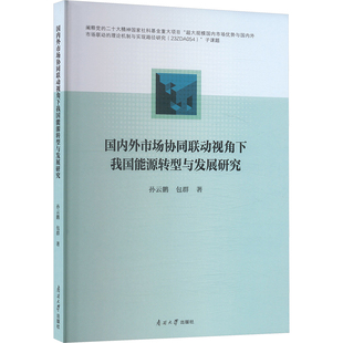 国内外市场协同联动视角下我国能源转型与发展研究 孙云鹏,包群 著 著 经济理论经管、励志 新华书店正版图书籍 南开大学出版社