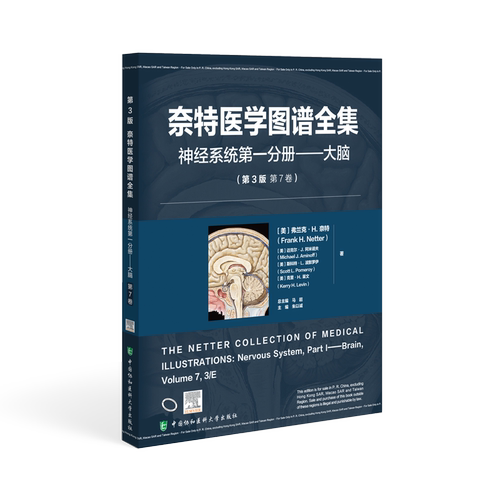 新华书店正版 内科