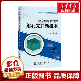 复杂地层油气井射孔完井新技术 毕刚 著 石油 天然气工业专业科技 新华书店正版图书籍 中国石化出版社