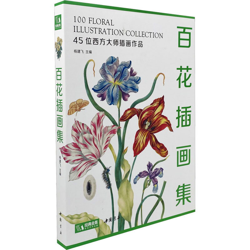 百花插画集 杨建飞 编 绘画(新)艺术 新华书店正版图书籍 中国书店出版社