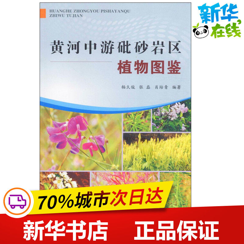 黄河中游砒砂岩区植物图鉴 杨久俊,张磊,肖培青 编著 著作 小学教材专业科技 新华书店正版图书籍 黄河水利出版社