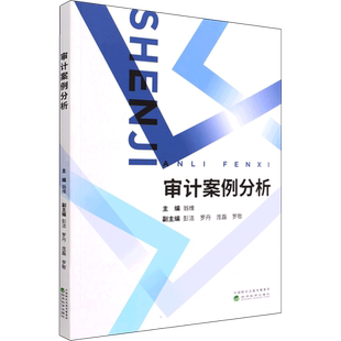 审计案例分析 翁维 编 大学教材经管、励志 新华书店正版图书籍 经济科学出版社