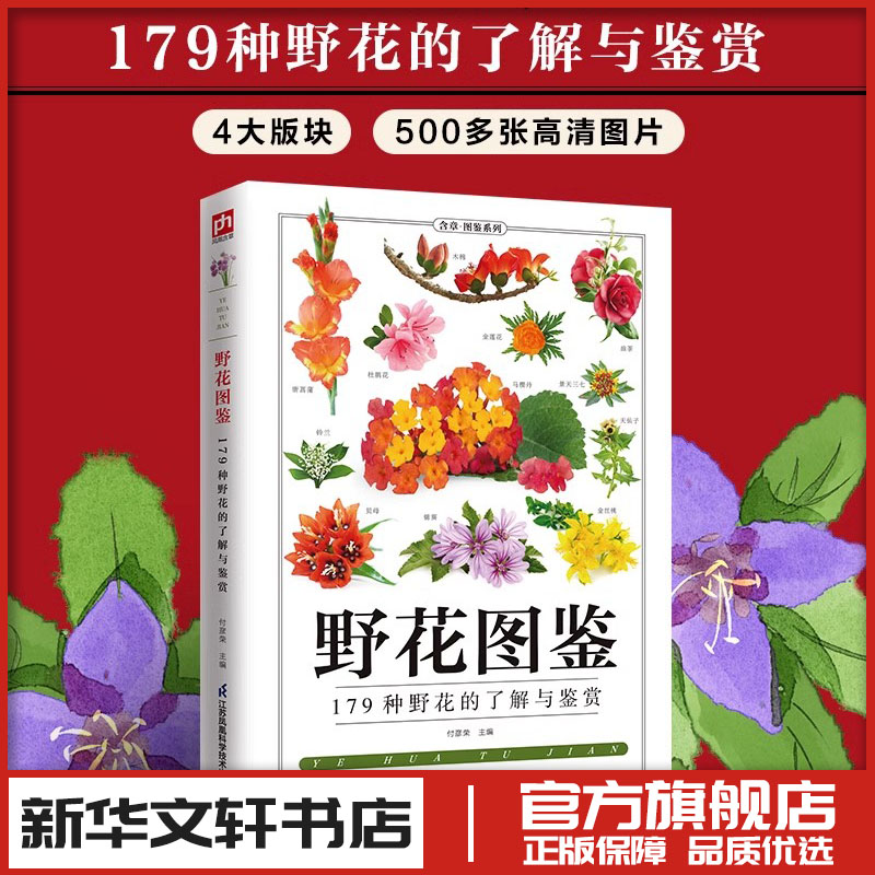 新华书店正版 文教科普读物