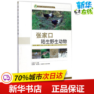 张家口陆生野生动物 王海东 主编 畜牧/养殖专业科技 新华书店正版图书籍 中国林业出版社