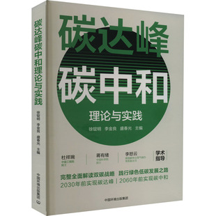 碳达峰碳中和理论与实践 徐锭明,李金良,盛春光 编 工业技术其它专业科技 新华书店正版图书籍 中国环境出版集团