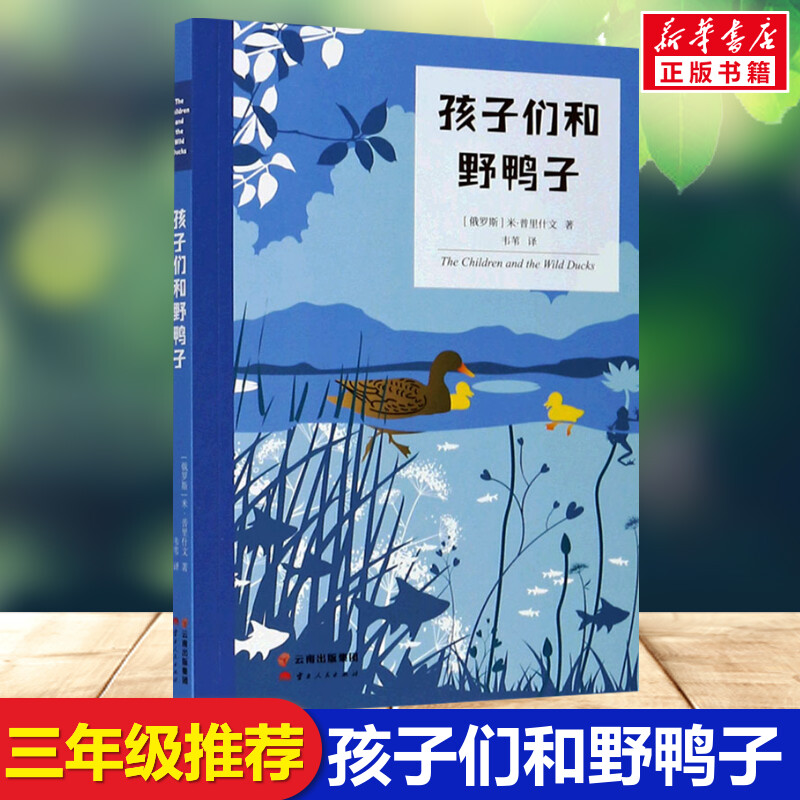 孩子们和野鸭子  3年级推荐阅读课外书中文分级阅读推荐8-9-10-11岁经典儿童文学寒暑假课外书推荐阅读新华正版云南人民出版社