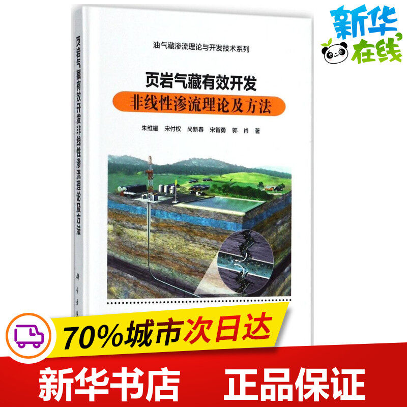 页岩气藏有效开发非线性渗流理论及方法 朱维耀 等 著 天文学专业科技 新华书店正版图书籍 科学出版社