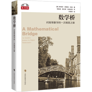 数学桥 对高等数学的一次观赏之旅 (美)斯蒂芬·弗莱彻·休森 著 邹建成 等 译 数学文教 新华书店正版图书籍 上海科技教育出版社