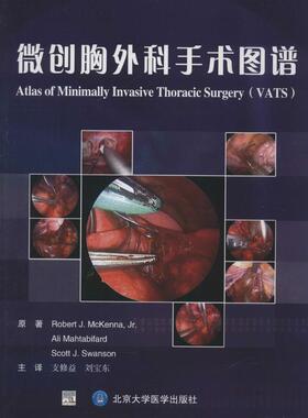 微创胸外科手术图谱 (美)Robert J.McKenna,Jr.；支修益 等；(美)Ali Mahtabifard 等 著 外科学生活 新华书店正版图书籍