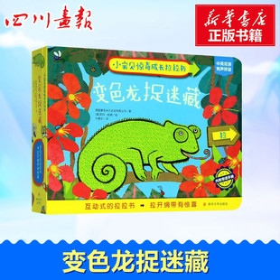 Macmillan 绘 Dodd 译 英国麦克米兰出版 有限公司 英 Ltd Publishers Emma 变色龙捉迷藏 著 艾玛·杜德 方素珍