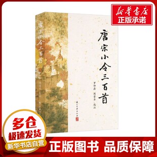 唐宋小令三百首 罗仲鼎,周菁齐 中国古诗词文学 新华书店正版图书籍 浙江古籍出版社