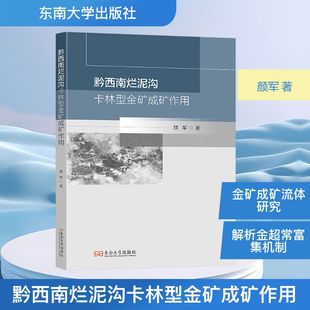 黔西南烂泥沟卡林型金矿成矿作用 颜军 著 地理学/自然地理学专业科技 新华书店正版图书籍 东南大学出版社