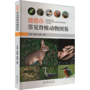 建德市常见脊椎动物图鉴 许在恩,库伟鹏,吴家森 编 动物专业科技 新华书店正版图书籍 中国林业出版社