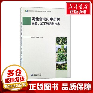编 药学生活 新华书店正版 河北省常见中药材采收加工与炮制技术 中国医药科技出版 马东来 图书籍 社 郑玉光