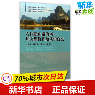 右江造山带海西-印支期沉积地质学研究 杜远生//杨江海//黄虎 著作 冶金工业专业科技 新华书店正版图书籍 中国地质大学出版社
