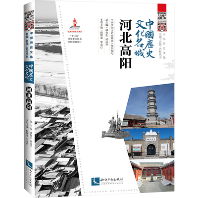中国历史文化名城 河北高阳 中国民间文艺家协会,潘鲁生,邱运华 编 民间文学/民族文学社科 新华书店正版图书籍 知识产权出版社