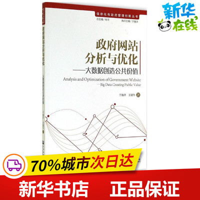 政府网站分析与优化 于施洋 著 网络通信（新）专业科技 新华书店正版图书籍 社会科学文献出版社