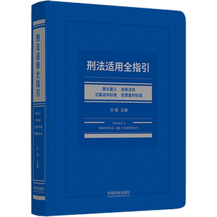 刑法适用全指引 罪名要义 关联法规 立案追诉标准 定罪量刑标准 孙强 编 刑法社科 新华书店正版图书籍 中国法制出版社