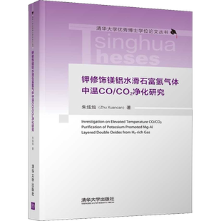 钾修饰镁铝水滑石富氢气体中温CO/CO2净化研究 朱炫灿 著 能源与动力工程专业科技 新华书店正版图书籍 清华大学出版社