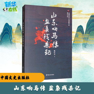 山东响马传 盐枭残杀记 姚民哀 著 玄幻/武侠小说文学 新华书店正版图书籍 中国文史出版社