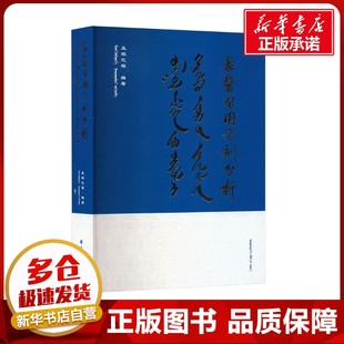 蒙医习用方剂分析 孟根巴根 编 中医生活 新华书店正版图书籍 民族出版社